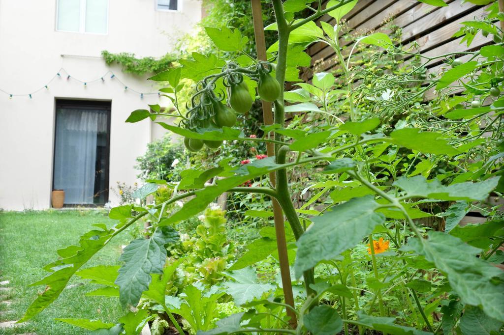 La Campagne A Paris B&B Bagian luar foto